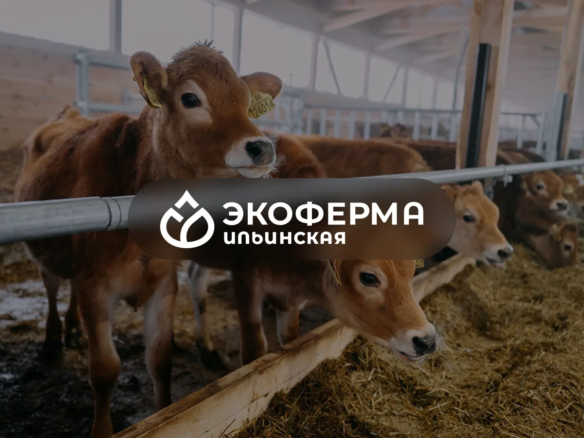 Экоферма «Ильинская» — сайт-визитка на Tilda